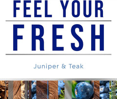 Glade PlugIns Refills Air Freshener, Scented and Essential Oils for Home and Bathroom, Juniper & Teak, Fresh Collection 3.35 Fl Oz,5 Count (Pack of 2)