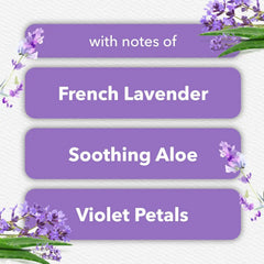Glade PlugIns Refills Air Freshener, Tranquil Lavender & Aloe, Scented and Essential Oils for Home and Bathroom, 0.67 Fl Oz, 10 Count