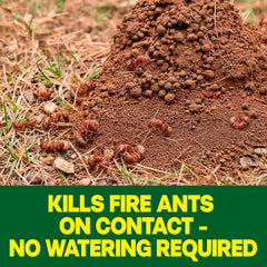 Raid Outdoor Fire Ant Mound Killer, Dust Insecticide for Outside Household Use on Fire Ants, Kills Insects up to 8 Months, Kills the Queen, Works Fast, 24 oz