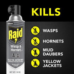 Raid Wasp & Hornet Killer Spray, Kills the Entire Nest, for Paper Wasps, Yellow Jackets, Mud Daubers and More, 14 oz (Pack of 4)