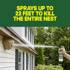 Raid Wasp & Hornet Killer Spray, Bug Killer Kills the Entire Nest, 14 Oz, 2 Count