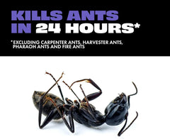 STEM Liquid Ant Baits, Kills The Queen and Colony, for Indoor Use, 8 Spill Proof Bait Stations