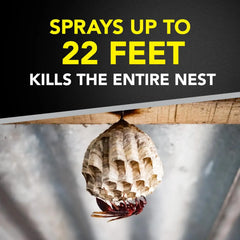 Raid Wasp & Hornet Killer Spray, Kills the Entire Nest, for Paper Wasps, Yellow Jackets, Mud Daubers and More, 14 oz (Pack of 4)